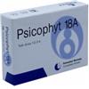 BIOGROUP SPA SOCIETA BENEFIT Psicophyt Remedy 18a 4 Tubi 1,2 G