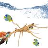 Generico Legni Per L'acquario - Decorazioni In Legni | Decorazione Per Terrario Con In Legno Massello Di Rettile | In Legno Massello Di Rettile | Radice Di Albero In Legno | Decorazioni Per Acquari Con In Legn