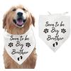 arricraft 1 bandana per Cani Da Compagnia, Bandana per Animali Domestici In Cotone Bianco con Triangolo Presto Sarà Il Fratello Parole Paws Sciarpa Lavabile Bavaglini Accessori Chief Gender