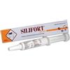 Aurora Biofarma Aurora silifort pasta cane e gatto 30ml