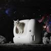 Nuova lettiera per gatti autopulente MAX-2, toilette per gatti chiusa a prova di sabbia, APP intelligente automatica, lettiera per gatti Petkit remota - APP PURA MAX-2