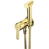 Deante Arnika rubinetto per bidet da incasso oro BQAZ34M