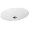 LaVita Cleo lavabo 50x36 cm ovale da appoggio bianco 5900378310495