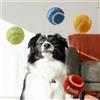 KONG Sport Softies Balls 3 pezzi M
