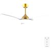 Cecotec Ventilatore da Soffitto con Luce EnergySilence 4800 Light GoldWhite. 35 W, Diametro 121 cm, Lampada a LED, Telecomando, Timer Fino a 8 Ore, 6 Velocità, 3 Pale, Estate/Inverno,