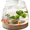 Penlimly Ciotola per pesci in vetro trasparente con base in legno, piccola ciotola per pesci da tavolo per pesci d'oro Betta, vaso per fiori e piante idroponiche, terrario per piante idroponiche, decorazione