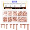 Tanstic Rivetti solidi in rame a testa piatta, M2x4/6/8, M2.5x5/8/10, M3x4/6/10, rivetti in rame massiccio per applicazioni elettriche, finitura rame tono rame