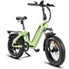 Bodywel F20PRO 4.0 Fat E Bike è una bicicletta elettrica da 250W con batteria da 48V 15,6AH freni idraulici funzione APP Città bici elettriche uomini e donne (verde)