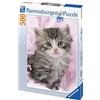 Ravensburger Puzzle 500 pezzi - simpatico gattino 14136