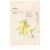 ONDO BEAUTY MASCHERA #CHARCOAL & YUJA BAUBBLE MONODOSE