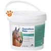 NBF Lanes Gastro Horse Relax - Confezione da 2 Kg