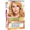 L'Oréal Paris Tinta Capelli Excellence Intense, Copre i Capelli Bianchi, Colore Ricco, Luminoso e a Lunga Durata, Biondo Chiaro Dorato Ramato 8.34, Confezione da 1