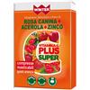 GDP Srl-GENERAL DIETET.PHARMA WINTER VITAMINA C PLUS SUPER + ZINCO 30 COMPRESSE MASTICABILI