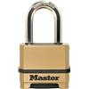 MASTER LOCK Lucchetto ad Alta Sicurezza [Combinazione] [Arco Lungo] [Zinco] [Esterno] M175EURDLF - Ideale per Portali, Garage, Sconto
