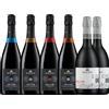 SOLIGO Set Degustazione Premium