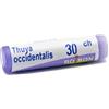 BOIRON Thuya occident 30ch gl - 800027219 - igiene-e-salute
