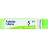BOIRON Asterias rubens 5ch gr 4g - 800159612 - igiene-e-salute/rimedi-omeopatici/globuli-e-granuli