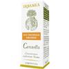 ERBAMEA Srl Cannella Olio Essenziale Bio Erbamea 10ml
