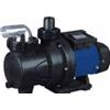 C.P.A. Pompa con prefiltro BRETON 370S c/p mono 2220220