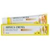NATURWAREN ITALIA Srl THEISS ARNICA POMATA RISCALDANTE 50 G