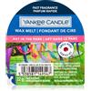 Yankee Candle Art In The Park 22 g