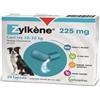 VETOQUINOL ITALIA Srl Zylkene cani taglia media 10-30kg 20 capsule da 225 mg - - 927185506