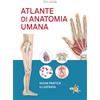Elika Atlante di anatomia umana. Guida pratica illustrata. Ediz. a colori