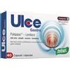 SANTIVERI Sa ULCE GASTRO 40CPS 15G