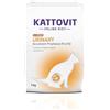KATTOVIT - Cibo secco per gatti | Cibo secco per gatti adulti con malattie del tratto urinario. Alimento dietetico completo | 4 kg di pollo