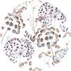Ambiance Sticker Carta da parati in tessuto non tessuto pre-incollato, affreschi giganti, affresco, fiori Champê vintage acquerello, bianco, altezza 90 x larghezza 90 cm
