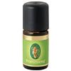 Pino Mugo Olio Essenziale Bio 5 Ml