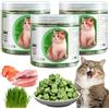 LETTERASHQP Bastoncini per erba di gatto, 150 g, 3 pezzi di snack per gatti secchi per gatti e gatti
