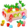 Dr. MUYA® Giochi Montessori 1 2 3 Anni, Giochi Montessori 1 Anno, Giochi Bambini 1 Anno, Giocattolo in Legno, Giochi Educativi, Regalo Bambino Bambina 1-3 Anni