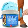 EMMA Arnica per Cavalli 500ml Gel rinfrescante con unguento all'arnica Gel extra forte I Horse Balm Tendini, legamenti e muscoli I rinfrescante I all'arnica Gel per massaggi muscolari per cavalli e cani