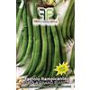 Tesoro della Terra Fagiolo Rampicante Bobis a Grano Bianco 50gr Senza Filo