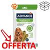 Advance Dog Snack Dental Care Stick Medium Maxi - Confezione Da 7 Stick - CONFEZIONE RISPARMIO