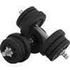 HOMCOM Set Manubri Palestra da 25 kg Totali con 12 Dischi Pesi e 2 Barre da 2 kg, Nero