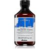 Davines Naturaltech Rebalancing Shampoo 250 ml