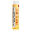 Burt's Bees Lip Balm Coconut & Pear 4.25 g