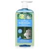 PAPOUTSANIS Karavaki Tonic & Strength 600 ml