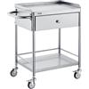 VEVOR Carrello da Laboratorio in Acciaio Inox 2 Ripiani Capacità Carico Totale Massima 100kg, Carrello Sanitario in Acciaio Inox 201 710 x 421 x 785 mm, Carrello per Medicazione da Laboratorio 2 Piani