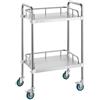 VEVOR Carrello da Laboratorio, Carrello da Laboratorio in Acciaio Inox a 2 Ripiani, Carrello da Laboratorio con Ruote Girevoli, Carrello di Utilità Dentale per Clinica, Laboratorio, Ospedale, Salone