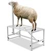 VEVOR Supporto per Capre Pecore, Supporto 1195 x 584 mm, Supporto per Bestiame Mungitura e Tosatura del Bestiame in Metallo Altezza Regolabile, con Copricapo Passante Naso,Peso Carico 226,8 kg Bianco