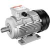 VEVOR Motore Elettrico 2,2KW 2890 Giri/min, AC 400V 4,7A, 90L, Telaio B3, Motore del Compressore d'Aria Trifase, Albero con Chiavetta 24mm, Rotazione CW/CCW Macchine Agricole e Attrezzature Generali