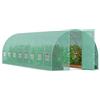 VEVOR Serra per Piante Tunnel Telaio Zincato Copertura PE Verde 835x290x225 cm