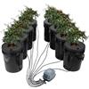 VEVOR Sistema di Coltivazione Idroponica DWC, Kit di Coltivazione in Acque Profonde 20 Litri Pompa ad Aria, Pietre porose, Dispositivo di Livello dell'Acqua, Sistema Idroponico Verdure a Foglia