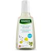 Rausch - Shampoo sensibile (ipoallergenico, nutre in modo particolarmente delicato il cuoio capelluto, senza silicone e parabeni - vegano), confezione da 1 (1 x 200 ml)