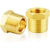 TAILONZ PNEUMATIC Raccordo filettato in ottone da 1/2 pollice BSP maschio x 1/4 di pollice BSP femmina adattatore con boccola esagonale (2Pz）)