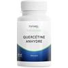 Dynveo Quercetina ottimizzata con fosfolipidi Quercefit® - Microincapsulata 20 volte più Biodisponibile - Antiossidante & Immunità - 250 mg 60 capsule vegetali (1-2 mesi) - Produzione francese - Dynveo