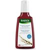 Rausch, Shampoo speciale corteccia di salice (erbe contro forfora grassa, arrossamento e prurito in qualità comprovata - Vegano), confezione da 1 (1 x 200 ml)